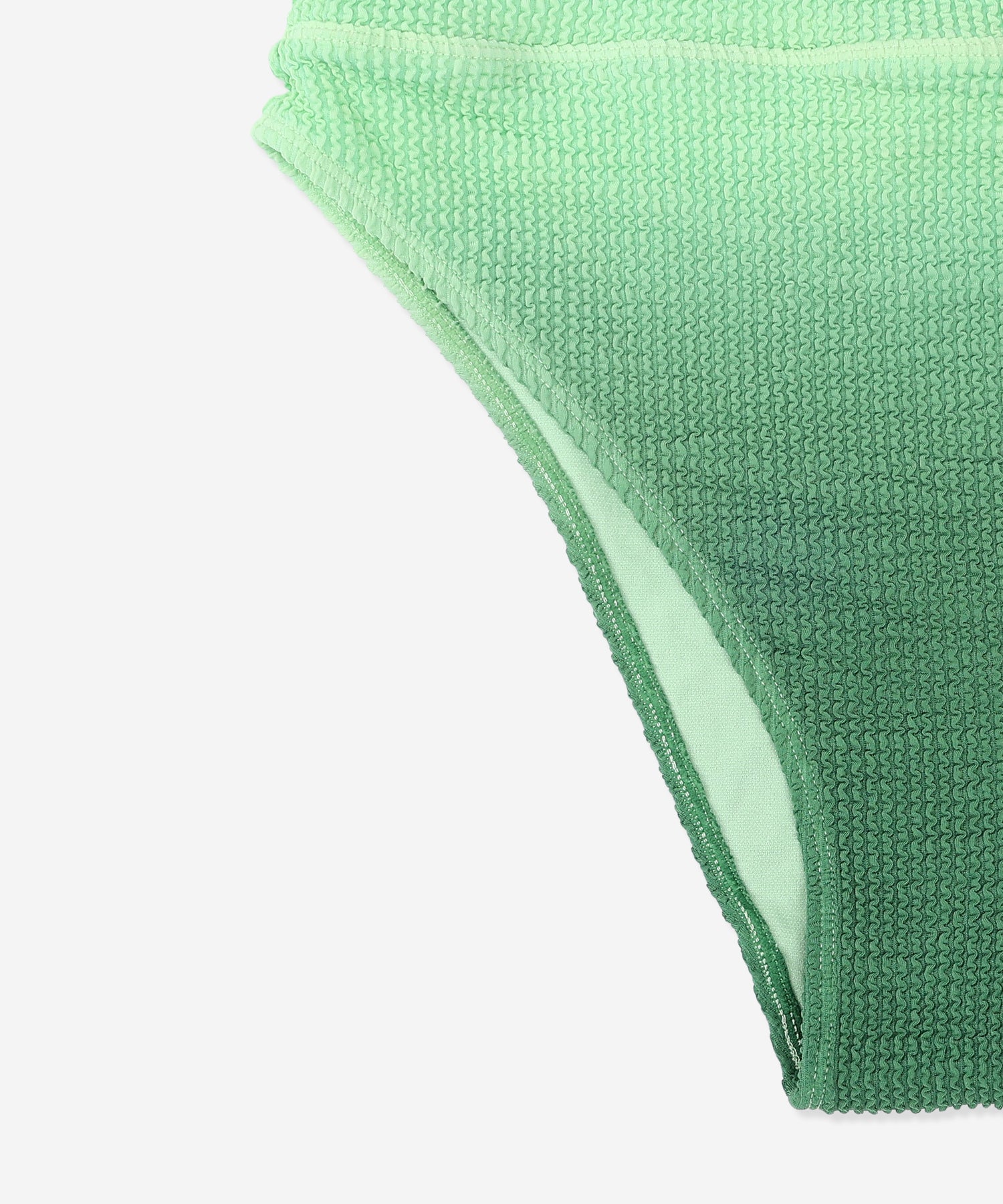【NEW】オンブル スクランチ チーキー ハイライズ ボトム (レディース/水着)