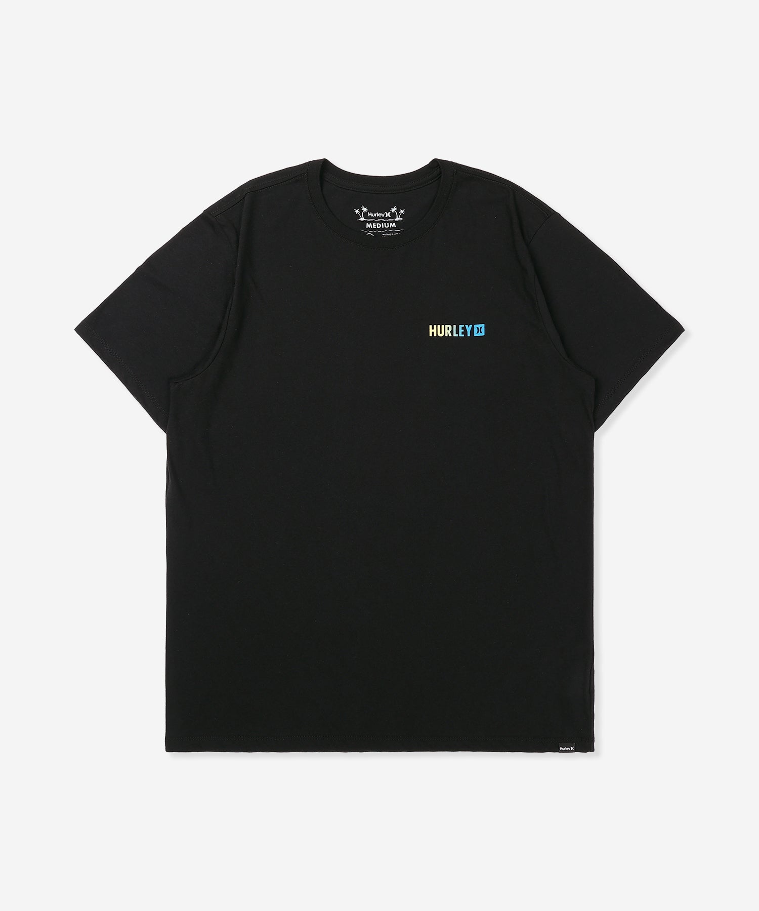 FERN GRADIENT SHORT SLEEVE メンズ/Tシャツ/レギュラーフィット