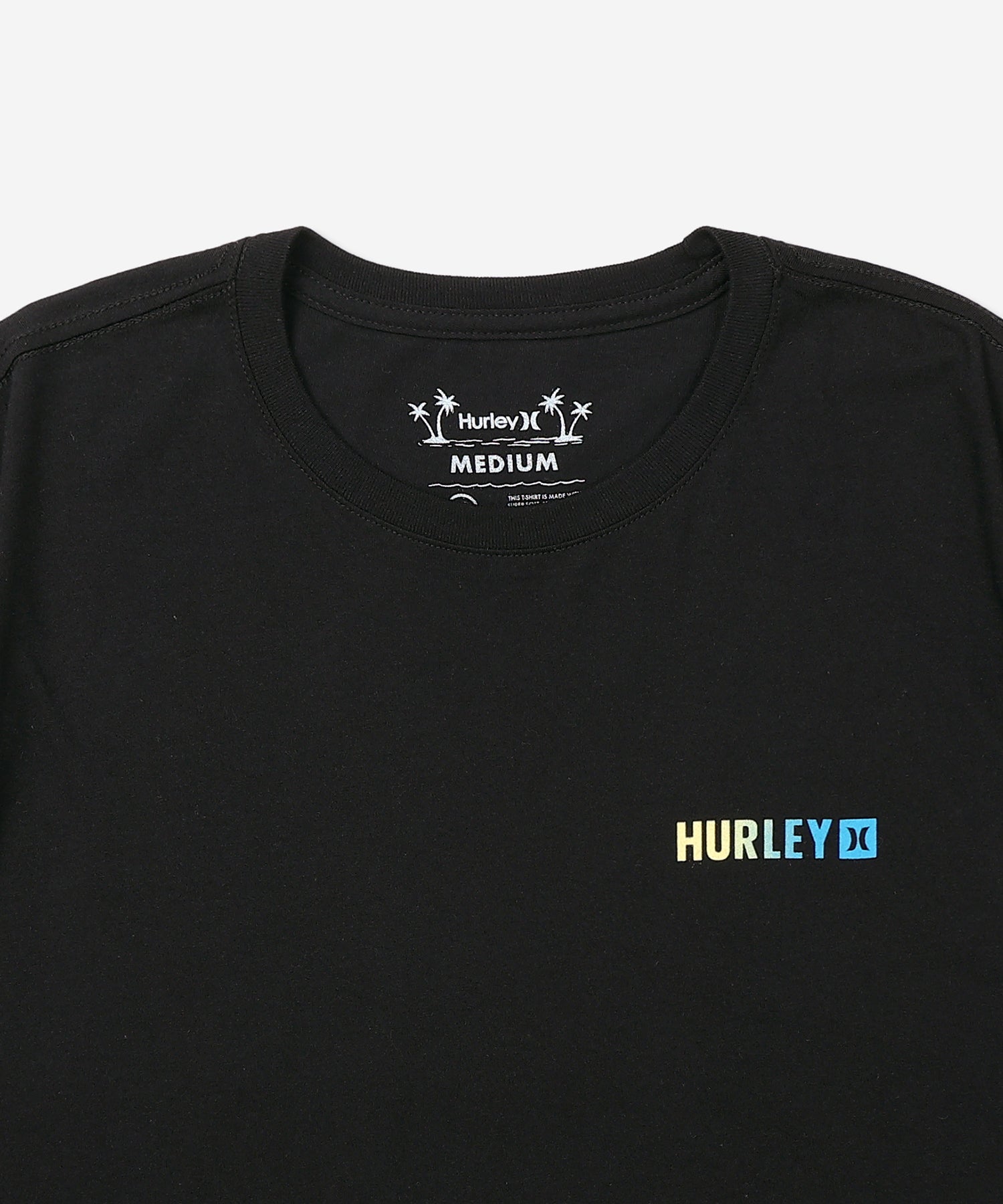 FERN GRADIENT SHORT SLEEVE メンズ/Tシャツ/レギュラーフィット