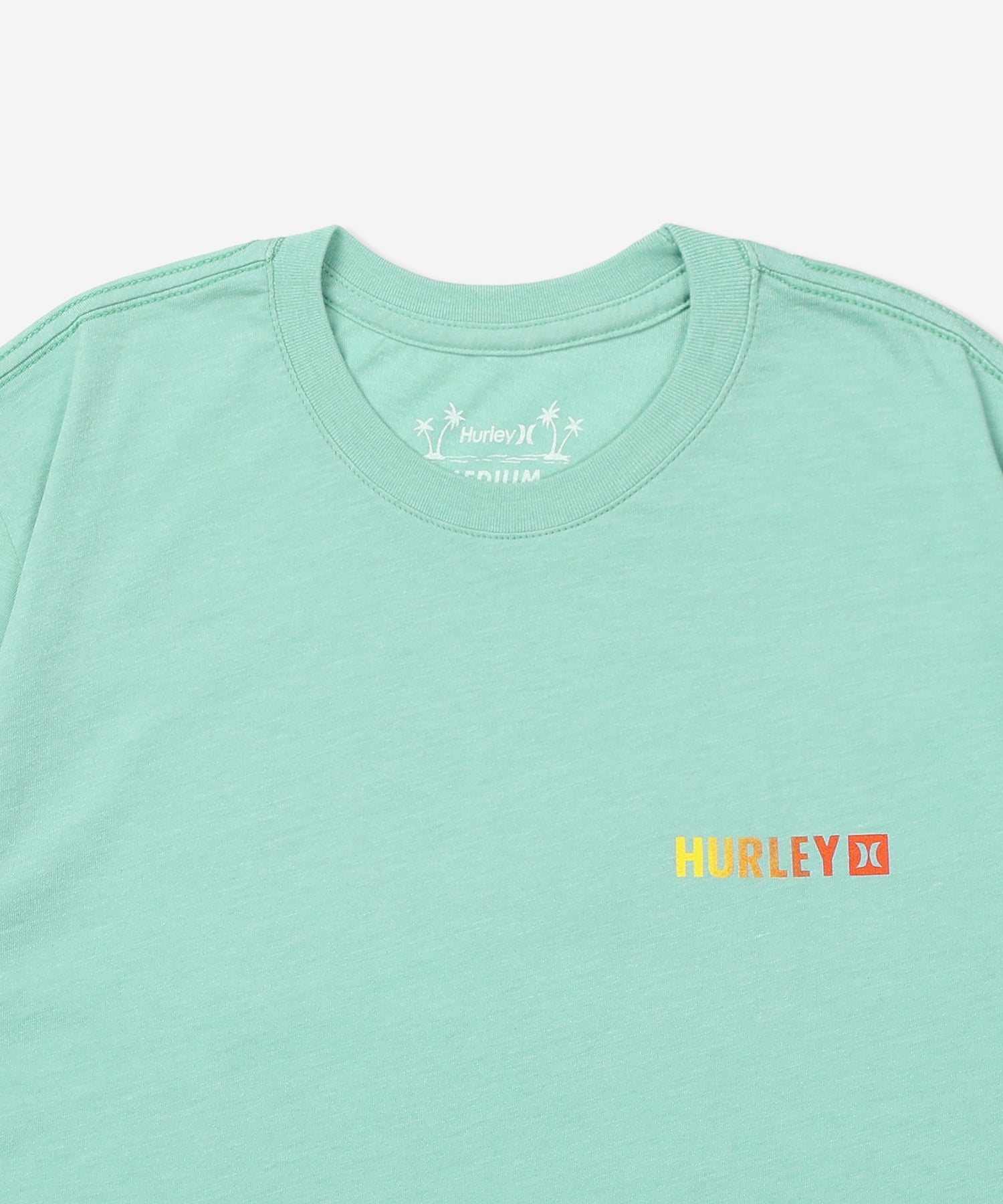 FERN GRADIENT SHORT SLEEVE メンズ/Tシャツ/レギュラーフィット