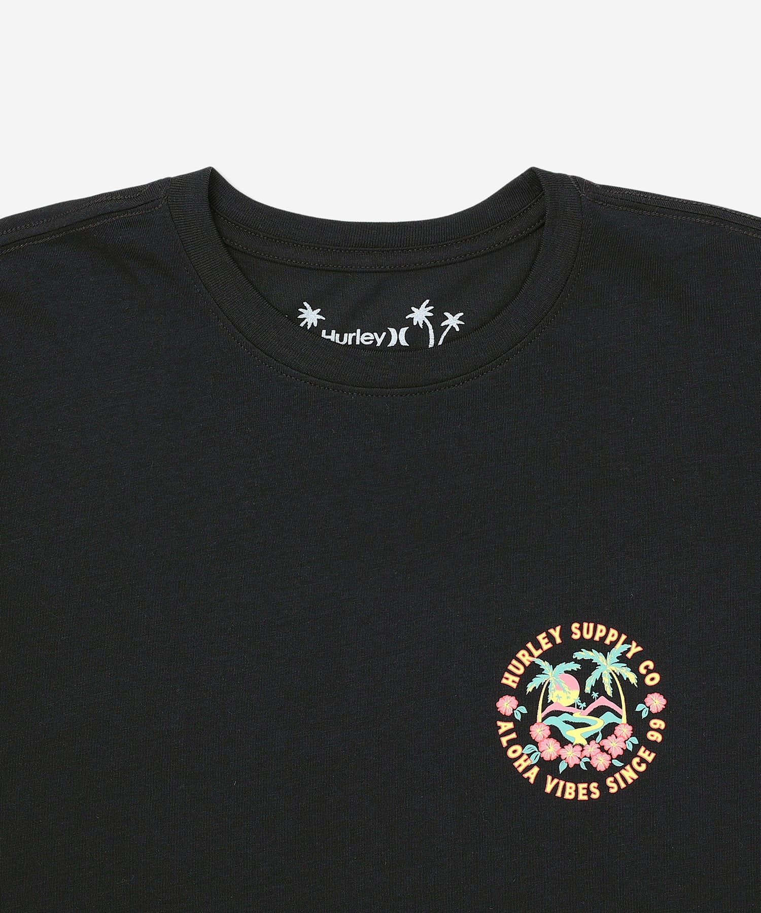 HAWAIIAN ISLAND SHORT SLEEVE メンズ/Tシャツ/レギュラーフィット