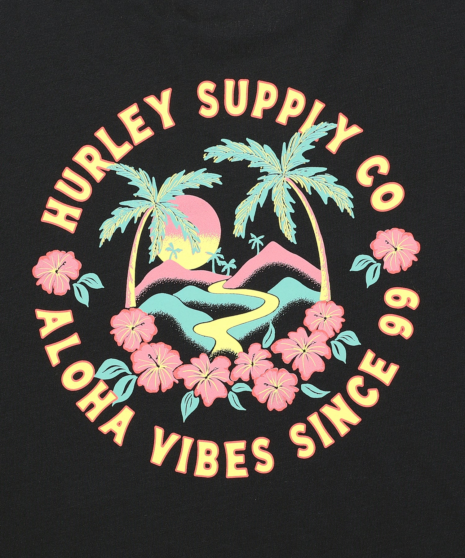HAWAIIAN ISLAND SHORT SLEEVE メンズ/Tシャツ/レギュラーフィット