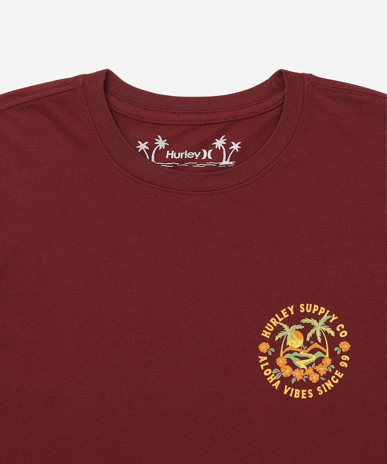 HAWAIIAN ISLAND SHORT SLEEVE メンズ/Tシャツ/レギュラーフィット