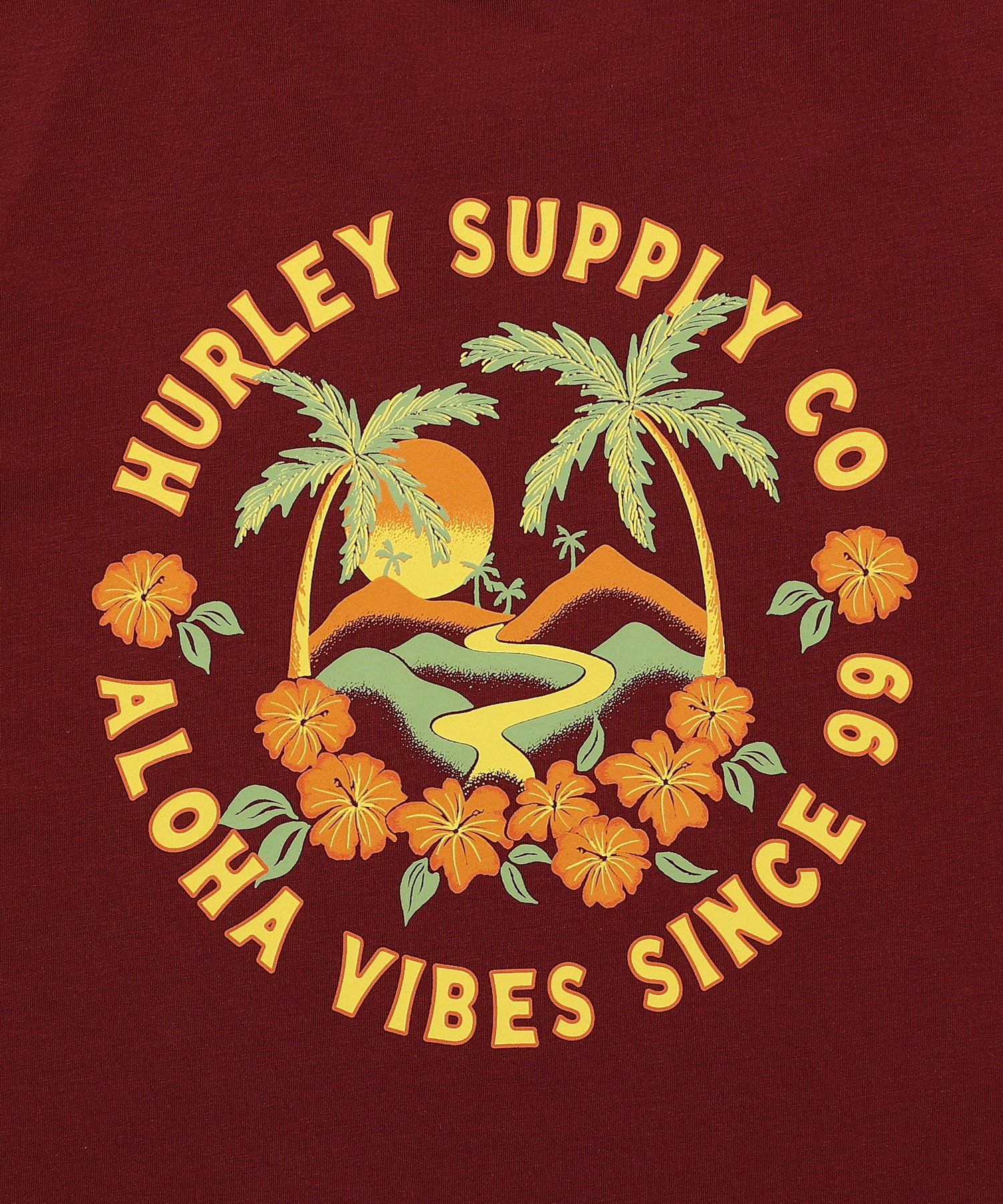 HAWAIIAN ISLAND SHORT SLEEVE メンズ/Tシャツ/レギュラーフィット
