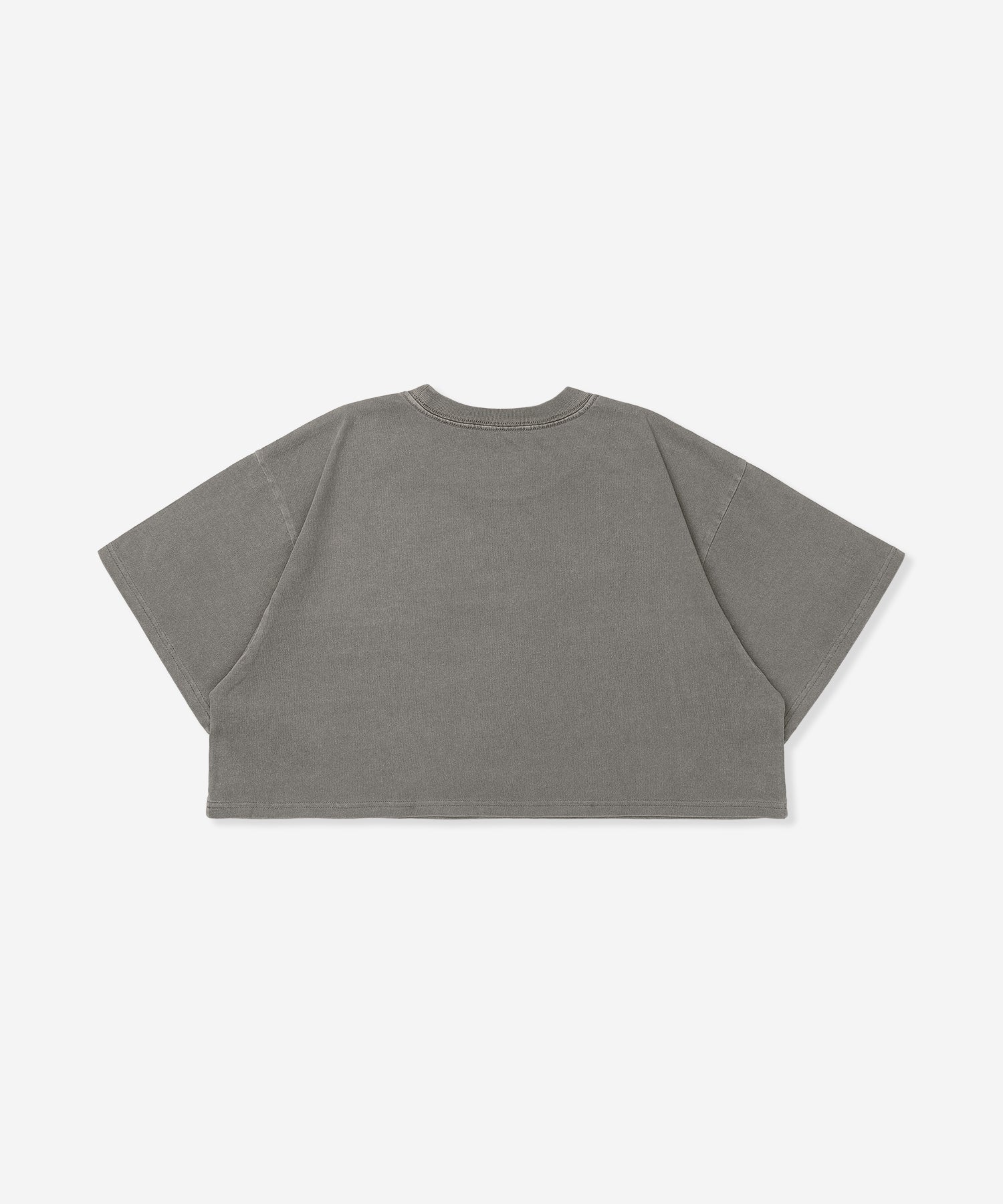 オーバーサイズ エンブロイダリー オールドイングリッシュ ロゴ クロップド ショートスリーブ ティー (レディース/Tシャツ)