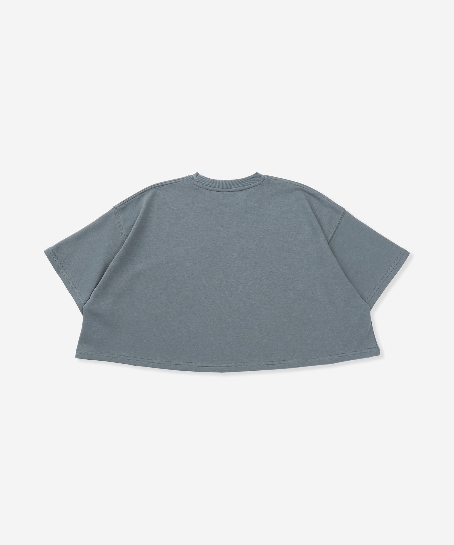 【NEW】テリー アイコン クロップド ショートスリーブ (レディース/Tシャツ)