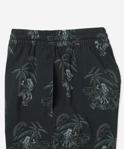 【NEW】CANNONBALL VOLLEY 17 メンズ/サーフパンツ・水着/17インチ