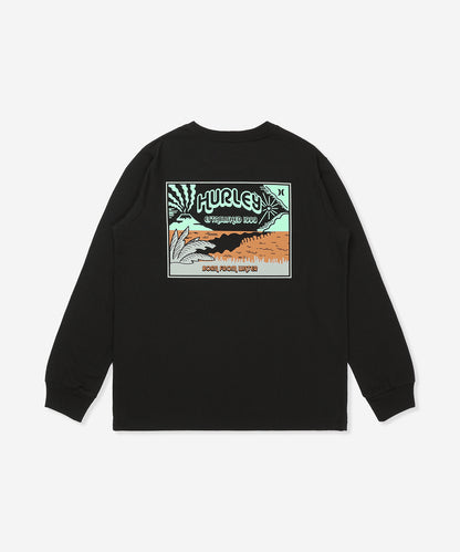 VOLCANO LONG SLEEVE TEE メンズ/ロンT/レギュラーフィット