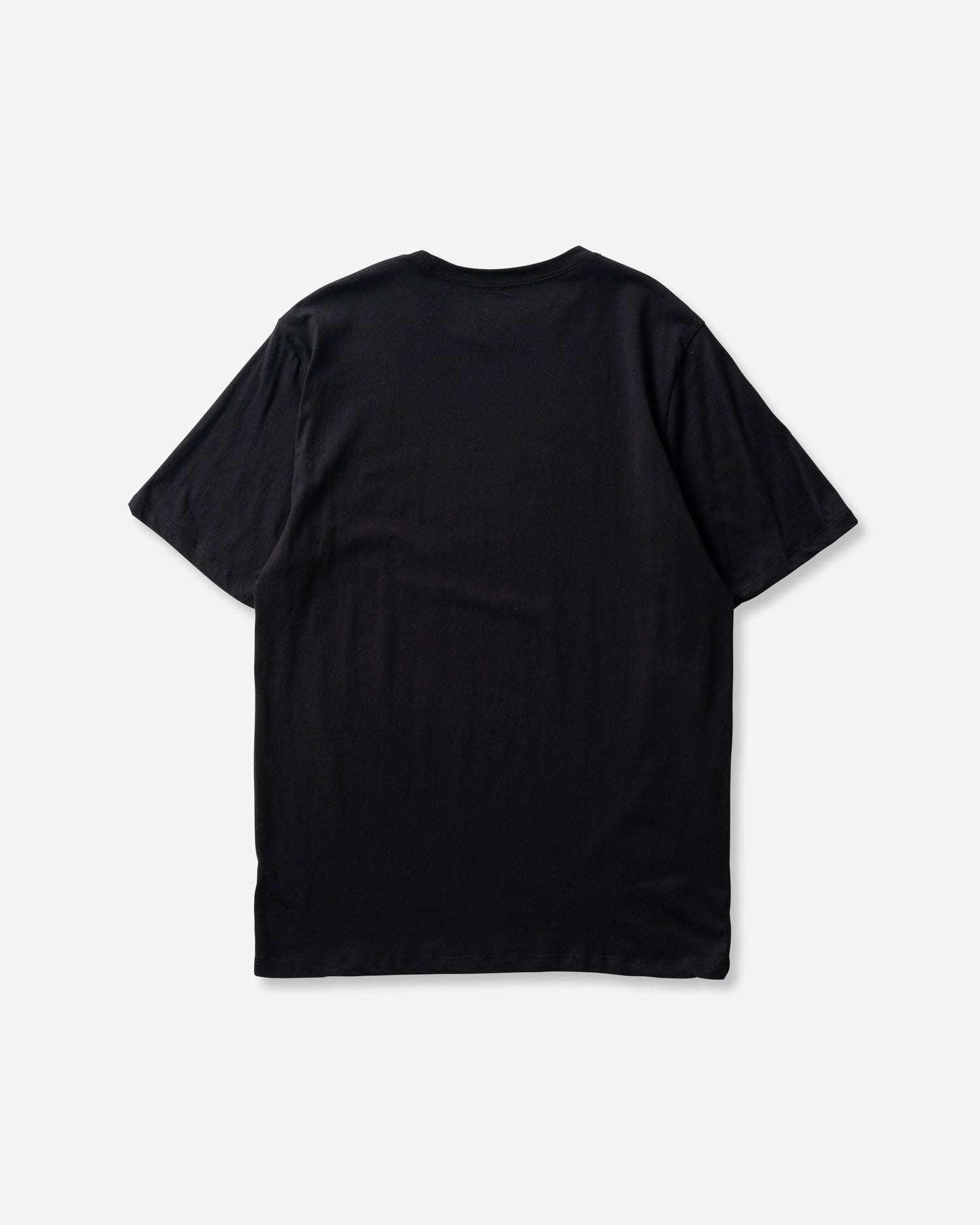 MENS EVERYDAY 25TH S2 SHORT SLEEVE メンズ/Tシャツ