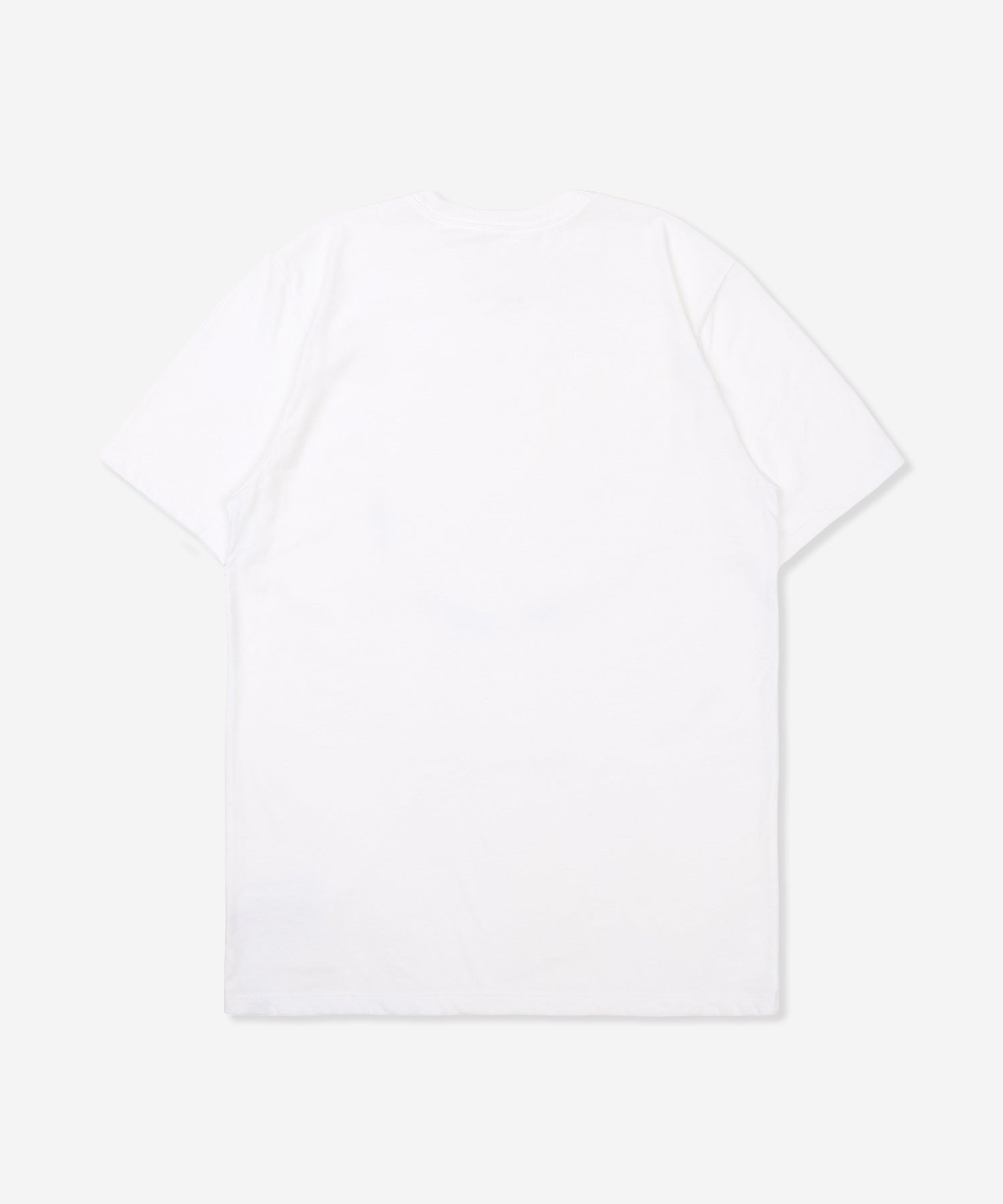 LINEAR PALM SHORTSLEEVE メンズ/Tシャツ