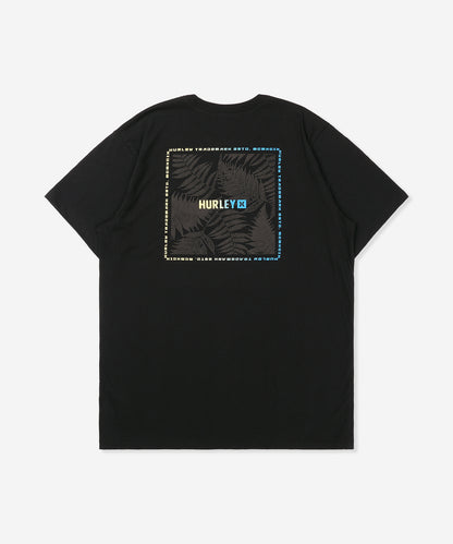 FERN GRADIENT SHORT SLEEVE メンズ/Tシャツ/レギュラーフィット