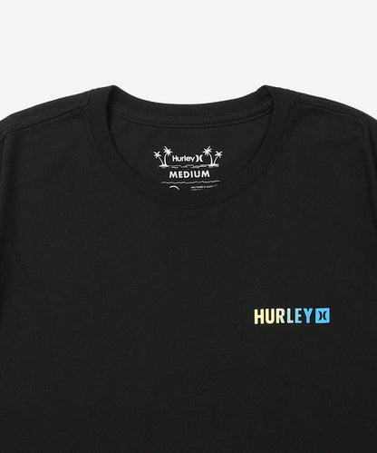 FERN GRADIENT SHORT SLEEVE メンズ/Tシャツ/レギュラーフィット