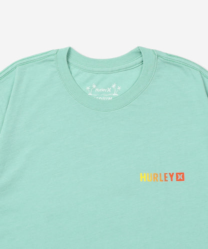 FERN GRADIENT SHORT SLEEVE メンズ/Tシャツ/レギュラーフィット
