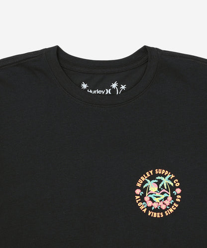 HAWAIIAN ISLAND SHORT SLEEVE メンズ/Tシャツ/レギュラーフィット