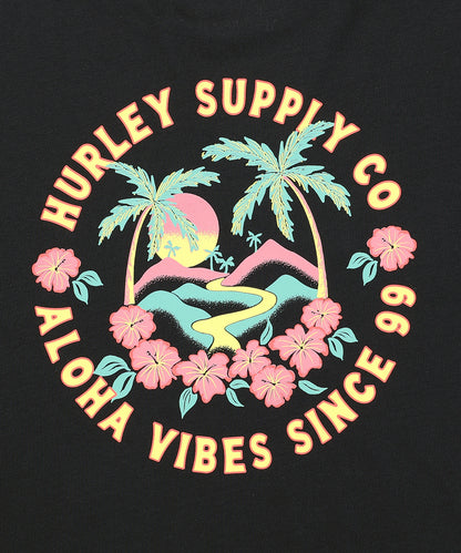 HAWAIIAN ISLAND SHORT SLEEVE メンズ/Tシャツ/レギュラーフィット