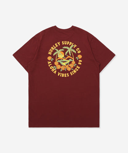 HAWAIIAN ISLAND SHORT SLEEVE メンズ/Tシャツ/レギュラーフィット