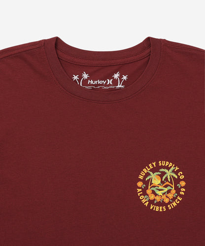 HAWAIIAN ISLAND SHORT SLEEVE メンズ/Tシャツ/レギュラーフィット