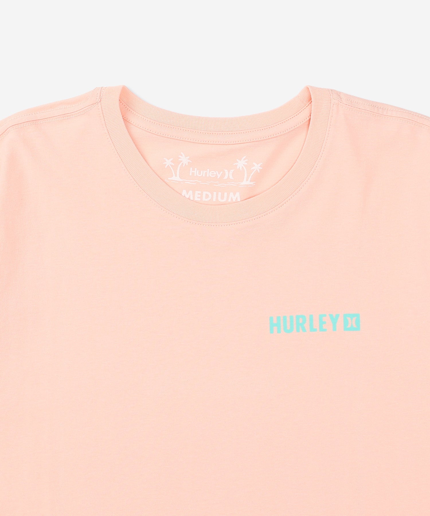 【NEW】ファーン グラディエント ショートスリーブ Tシャツ (メンズ/Tシャツ/レギュラーフィット)