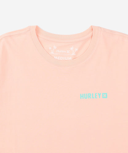 【NEW】ファーン グラディエント ショートスリーブ Tシャツ (メンズ/Tシャツ/レギュラーフィット)