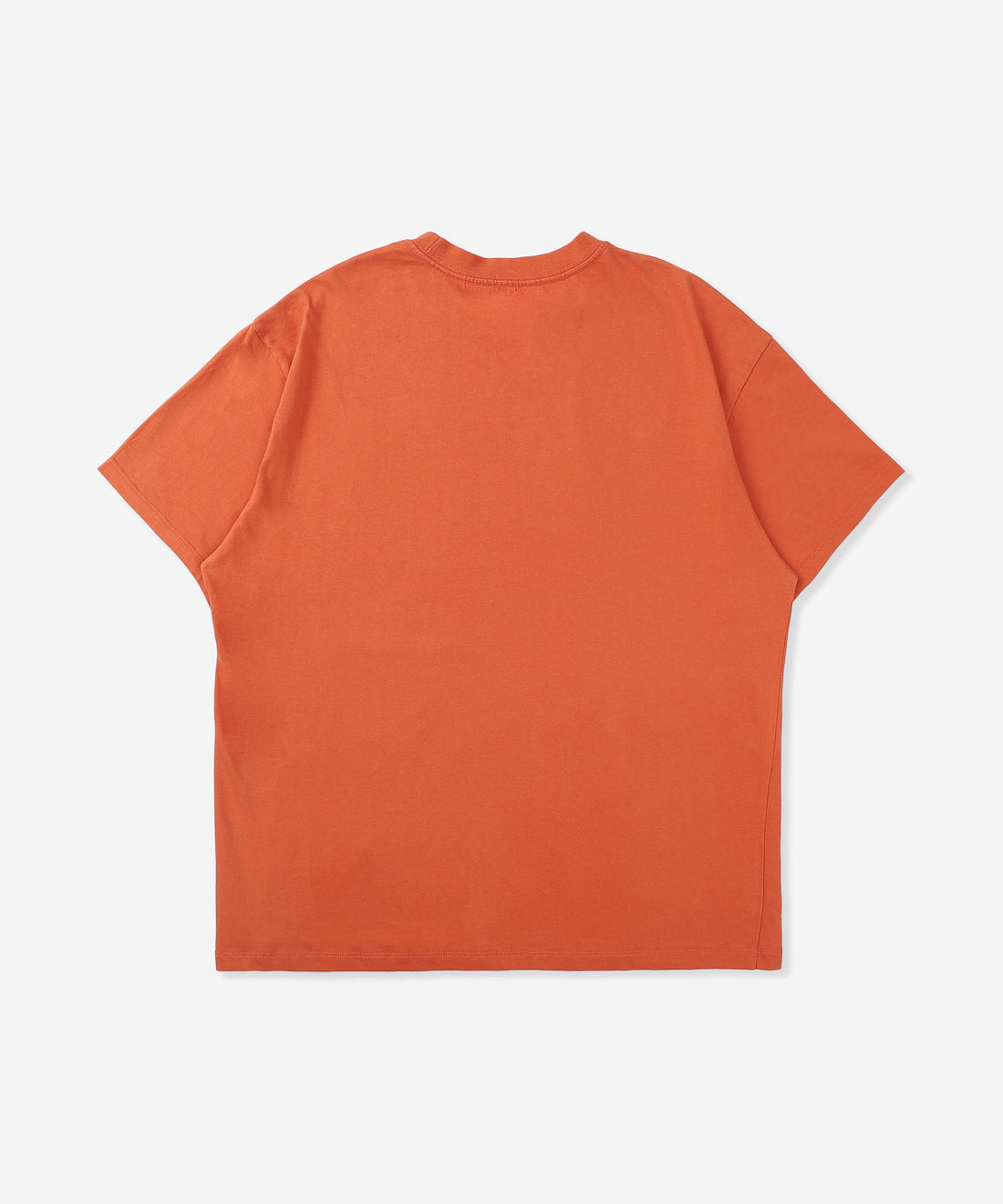 【NEW】レジン ショートスリーブ Tシャツ キングスグラッシング (メンズ/Tシャツ/オーバーサイズ)