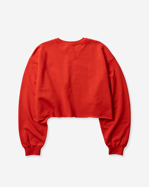 WOMENS TERRY ARCH LOGO CROPPED CREW レディース/スウェット