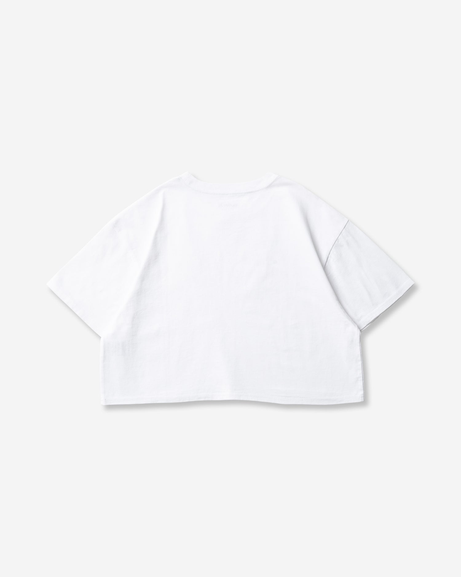 WOMENS HURLEY CROP SHORT SLEEVE TEE レディース/Tシャツ