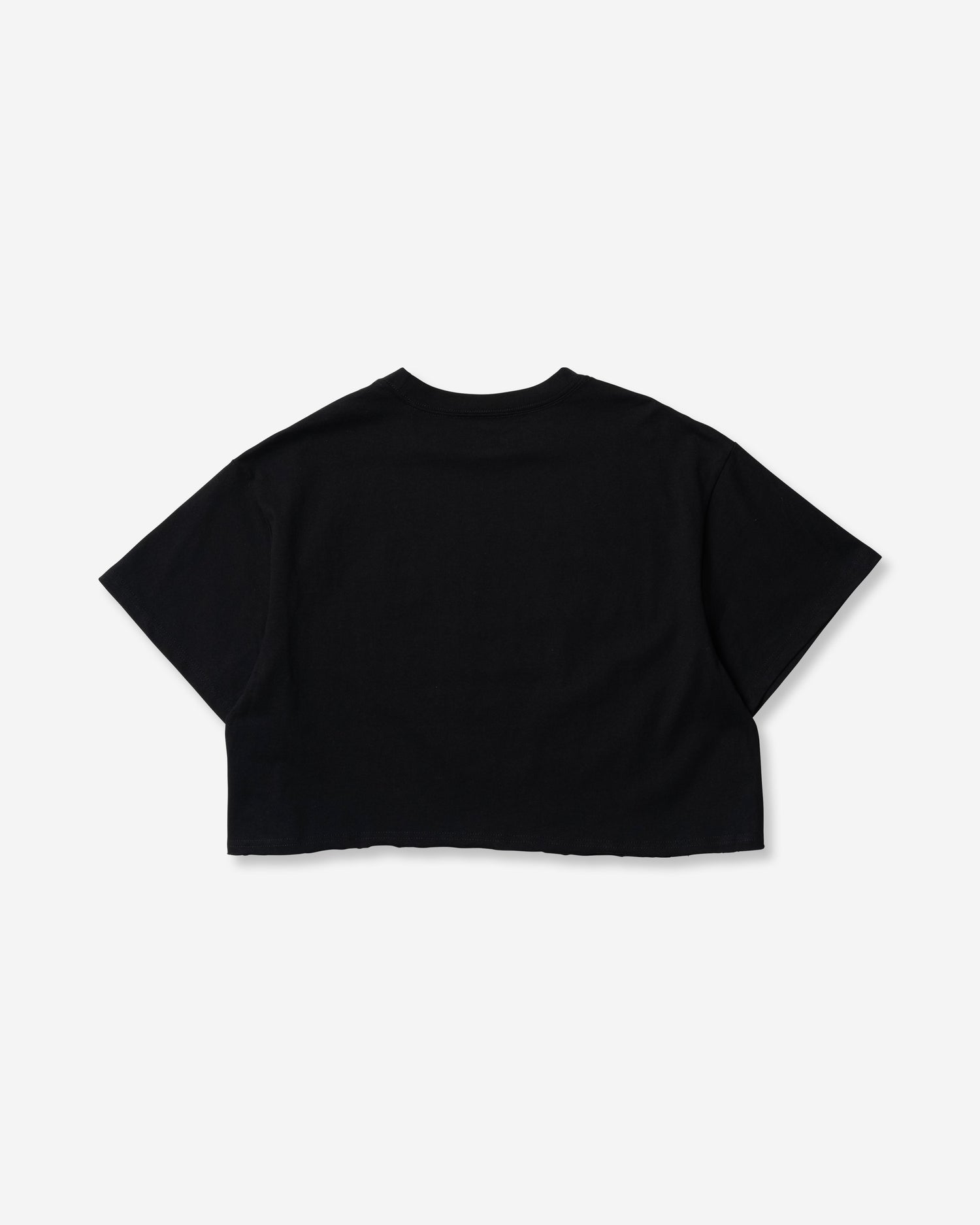 WOMENS ARC LOGO CROP TEE レディース/Tシャツ