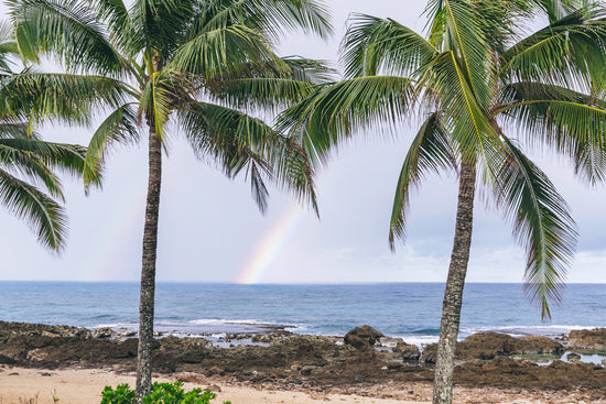 Hurleyについて – Hurley Japanオフィシャルオンラインストア